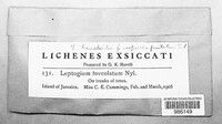 Image Associated With the Occurence
